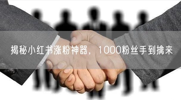 揭秘小红书涨粉神器，1000粉丝手到擒来