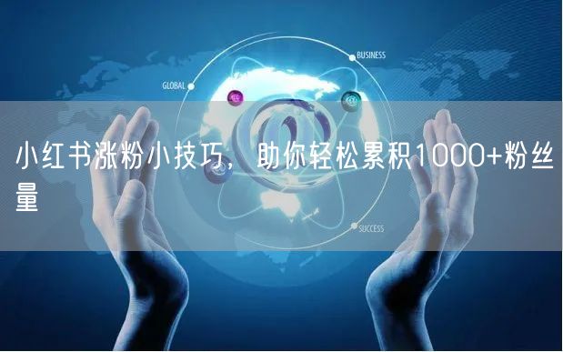 小红书涨粉小技巧，助你轻松累积1000+粉丝量