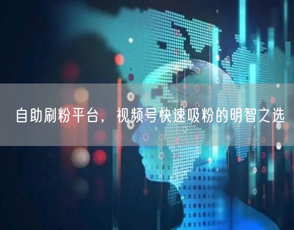 自助刷粉平台，视频号快速吸粉的明智之选