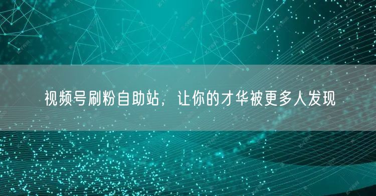 视频号刷粉自助站，让你的才华被更多人发现