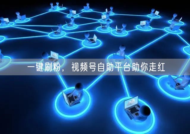 一键刷粉，视频号自助平台助你走红