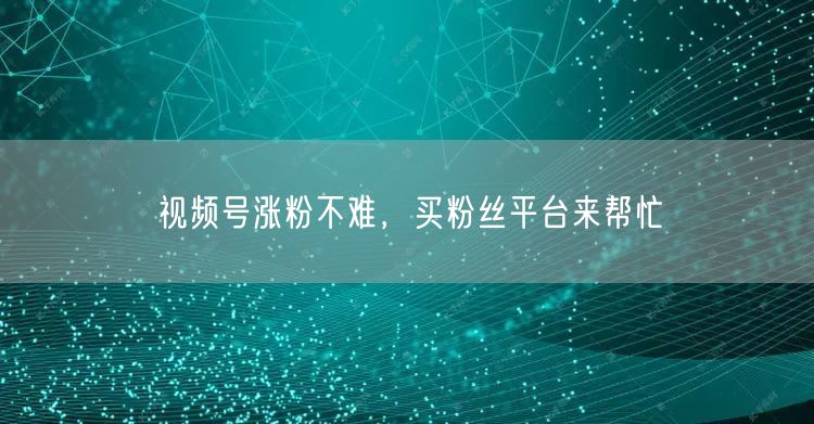视频号涨粉不难，买粉丝平台来帮忙