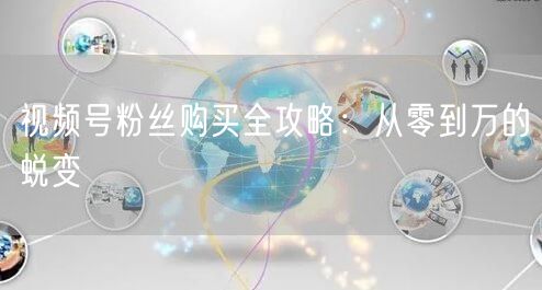视频号粉丝购买全攻略：从零到万的蜕变