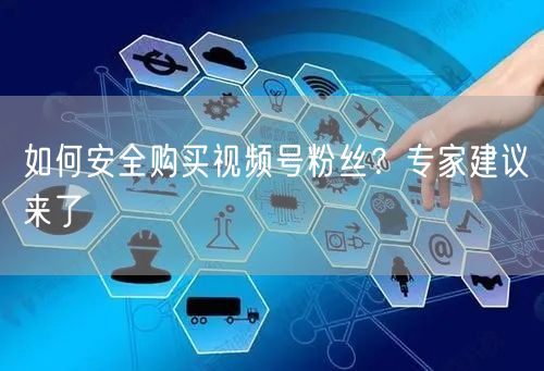 如何安全购买视频号粉丝？专家建议来了