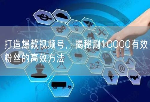 打造爆款视频号，揭秘刷10000有效粉丝的高效方法