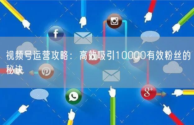 视频号运营攻略：高效吸引10000有效粉丝的秘诀