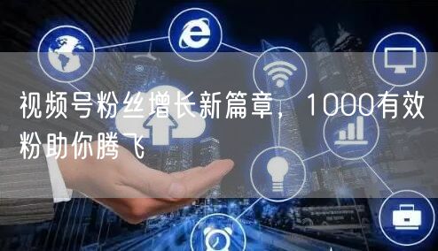 视频号粉丝增长新篇章，1000有效粉助你腾飞