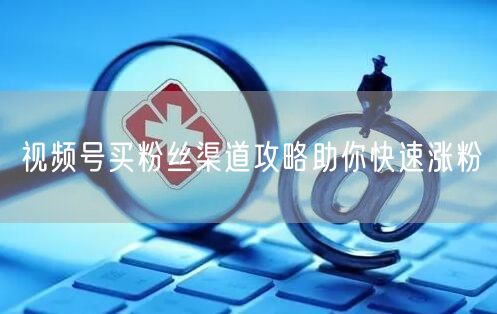 视频号买粉丝渠道攻略助你快速涨粉