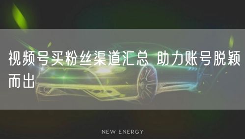视频号买粉丝渠道汇总 助力账号脱颖而出