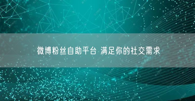 微博粉丝自助平台 满足你的社交需求