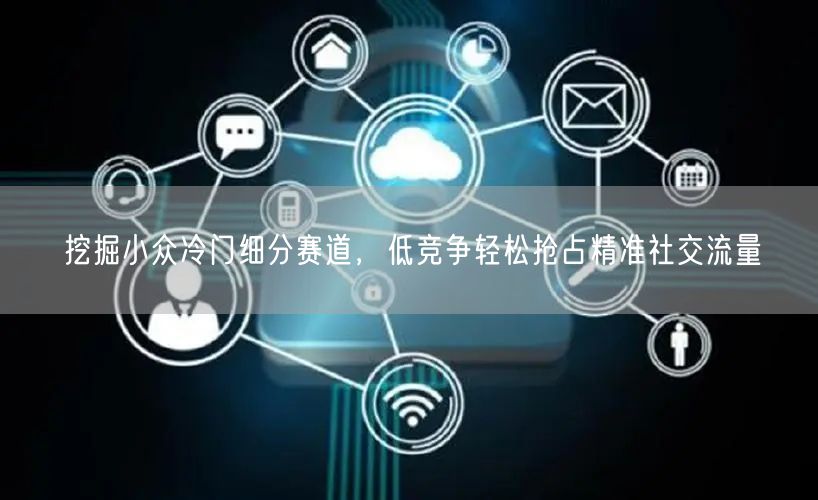 挖掘小众冷门细分赛道，低竞争轻松抢占精准社交流量