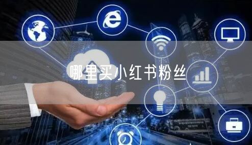 哪里买小红书粉丝