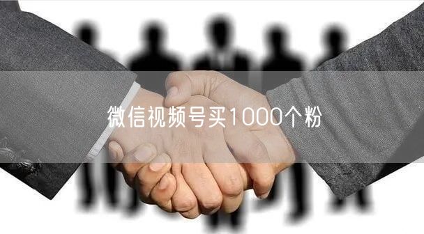 微信视频号买1000个粉