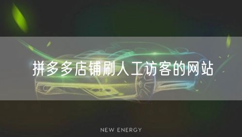 拼多多店铺刷人工访客的网站